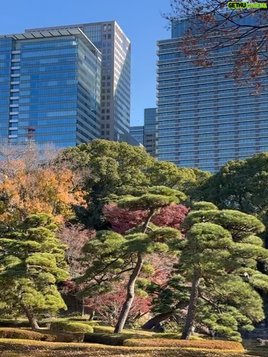 Altaír Jarabo - 23.6K Likes - Último día en Tokyo! 🇯🇵 🗻. Después de ver palacios, templos y la ciudad ultra moderna , no lo puedo evitar. Mis partes favoritas siempre han sido y serán los jardines ! Visite los que fueron del emperador , los que fueron del shogun y realmente me hicieron feliz . 
Ver el monte Fuji desde el Shinkanshen a más de 200km/hr fue lindo también.