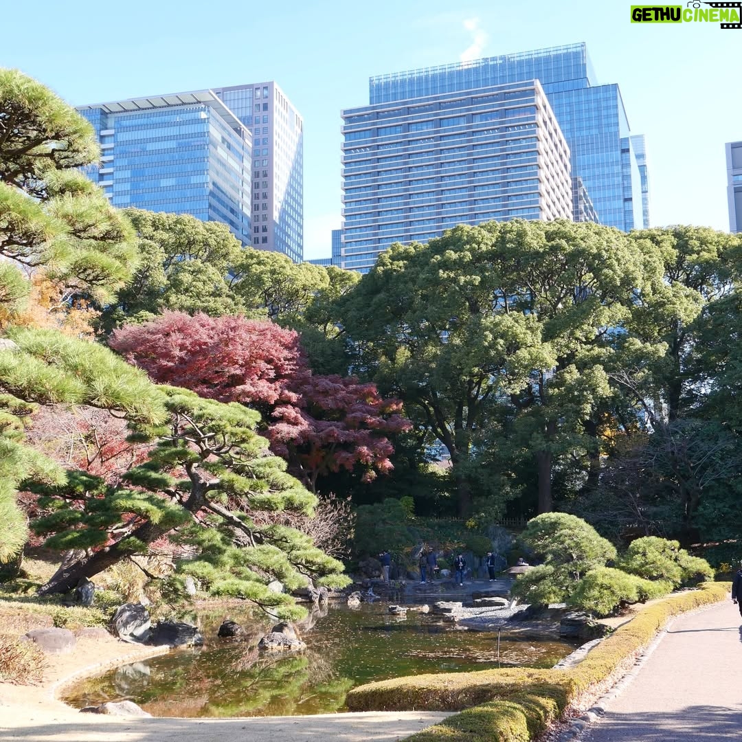 Altaír Jarabo - 23.6K Likes - Último día en Tokyo! 🇯🇵 🗻. Después de ver palacios, templos y la ciudad ultra moderna , no lo puedo evitar. Mis partes favoritas siempre han sido y serán los jardines ! Visite los que fueron del emperador , los que fueron del shogun y realmente me hicieron feliz . 
Ver el monte Fuji desde el Shinkanshen a más de 200km/hr fue lindo también.