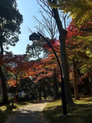 Altaír Jarabo Instagram - Último día en Tokyo! 🇯🇵 🗻. Después de ver palacios, templos y la ciudad ultra moderna , no lo puedo evitar. Mis partes favoritas siempre han sido y serán los jardines ! Visite los que fueron del emperador , los que fueron del shogun y realmente me hicieron feliz . 
Ver el monte Fuji desde el Shinkanshen a más de 200km/hr fue lindo también.