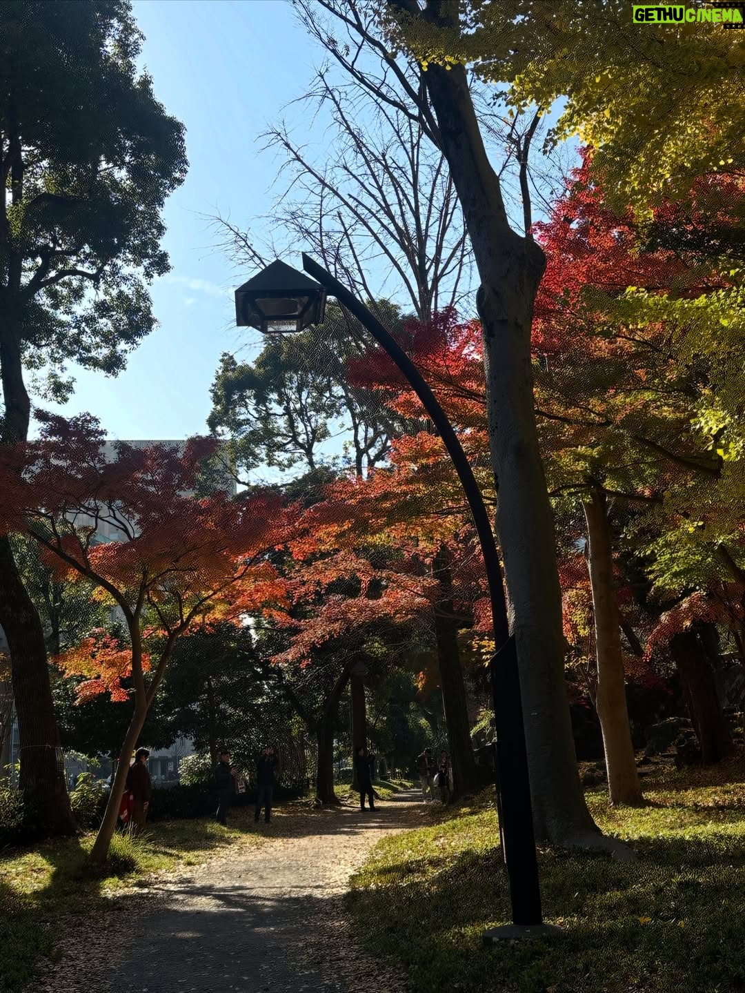Altaír Jarabo - 23.6K Likes - Último día en Tokyo! 🇯🇵 🗻. Después de ver palacios, templos y la ciudad ultra moderna , no lo puedo evitar. Mis partes favoritas siempre han sido y serán los jardines ! Visite los que fueron del emperador , los que fueron del shogun y realmente me hicieron feliz . 
Ver el monte Fuji desde el Shinkanshen a más de 200km/hr fue lindo también.