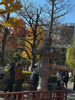 Altaír Jarabo Instagram - Último día en Tokyo! 🇯🇵 🗻. Después de ver palacios, templos y la ciudad ultra moderna , no lo puedo evitar. Mis partes favoritas siempre han sido y serán los jardines ! Visite los que fueron del emperador , los que fueron del shogun y realmente me hicieron feliz . 
Ver el monte Fuji desde el Shinkanshen a más de 200km/hr fue lindo también.