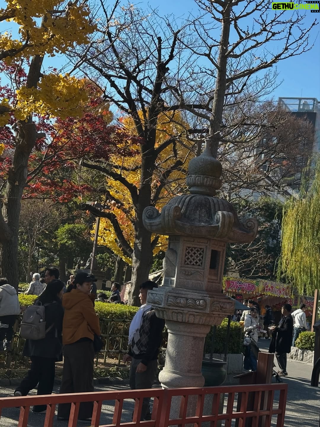 Altaír Jarabo - 23.6K Likes - Último día en Tokyo! 🇯🇵 🗻. Después de ver palacios, templos y la ciudad ultra moderna , no lo puedo evitar. Mis partes favoritas siempre han sido y serán los jardines ! Visite los que fueron del emperador , los que fueron del shogun y realmente me hicieron feliz . 
Ver el monte Fuji desde el Shinkanshen a más de 200km/hr fue lindo también.