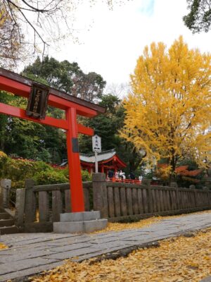 Altaír Jarabo Instagram - Último día en Tokyo! 🇯🇵 🗻. Después de ver palacios, templos y la ciudad ultra moderna , no lo puedo evitar. Mis partes favoritas siempre han sido y serán los jardines ! Visite los que fueron del emperador , los que fueron del shogun y realmente me hicieron feliz . 
Ver el monte Fuji desde el Shinkanshen a más de 200km/hr fue lindo también.