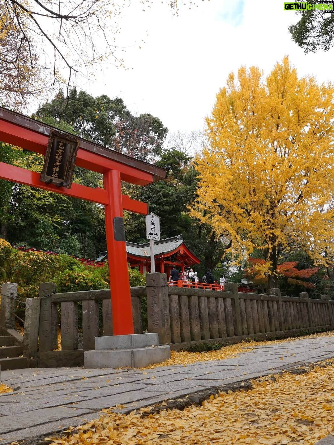 Altaír Jarabo - 23.6K Likes - Último día en Tokyo! 🇯🇵 🗻. Después de ver palacios, templos y la ciudad ultra moderna , no lo puedo evitar. Mis partes favoritas siempre han sido y serán los jardines ! Visite los que fueron del emperador , los que fueron del shogun y realmente me hicieron feliz . 
Ver el monte Fuji desde el Shinkanshen a más de 200km/hr fue lindo también.