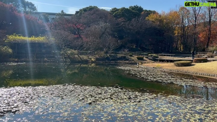 Altaír Jarabo - 23.6K Likes - Último día en Tokyo! 🇯🇵 🗻. Después de ver palacios, templos y la ciudad ultra moderna , no lo puedo evitar. Mis partes favoritas siempre han sido y serán los jardines ! Visite los que fueron del emperador , los que fueron del shogun y realmente me hicieron feliz . 
Ver el monte Fuji desde el Shinkanshen a más de 200km/hr fue lindo también.