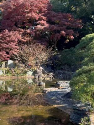 Altaír Jarabo Instagram - Último día en Tokyo! 🇯🇵 🗻. Después de ver palacios, templos y la ciudad ultra moderna , no lo puedo evitar. Mis partes favoritas siempre han sido y serán los jardines ! Visite los que fueron del emperador , los que fueron del shogun y realmente me hicieron feliz . 
Ver el monte Fuji desde el Shinkanshen a más de 200km/hr fue lindo también.