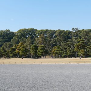 Altaír Jarabo Instagram - Último día en Tokyo! 🇯🇵 🗻. Después de ver palacios, templos y la ciudad ultra moderna , no lo puedo evitar. Mis partes favoritas siempre han sido y serán los jardines ! Visite los que fueron del emperador , los que fueron del shogun y realmente me hicieron feliz . 
Ver el monte Fuji desde el Shinkanshen a más de 200km/hr fue lindo también.