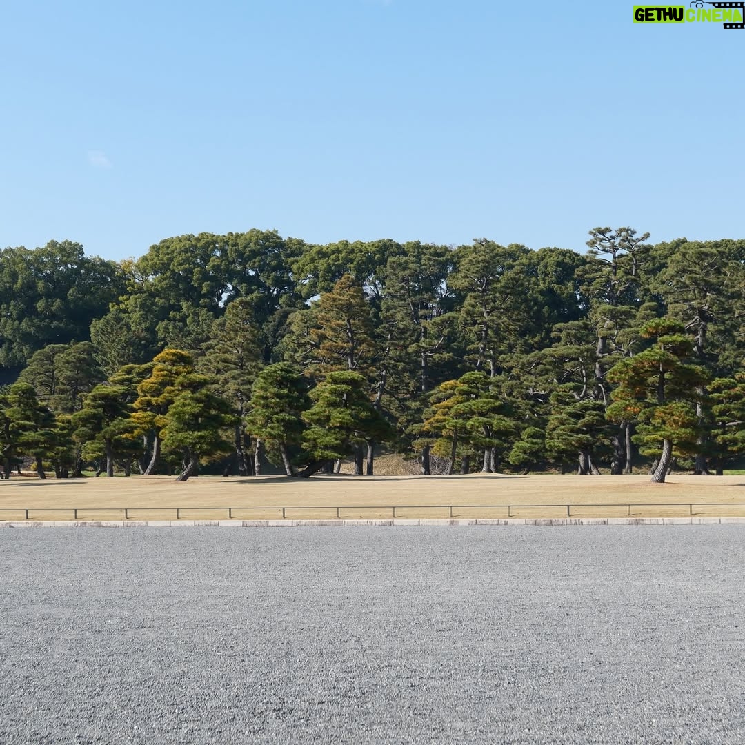 Altaír Jarabo - 23.6K Likes - Último día en Tokyo! 🇯🇵 🗻. Después de ver palacios, templos y la ciudad ultra moderna , no lo puedo evitar. Mis partes favoritas siempre han sido y serán los jardines ! Visite los que fueron del emperador , los que fueron del shogun y realmente me hicieron feliz . 
Ver el monte Fuji desde el Shinkanshen a más de 200km/hr fue lindo también.