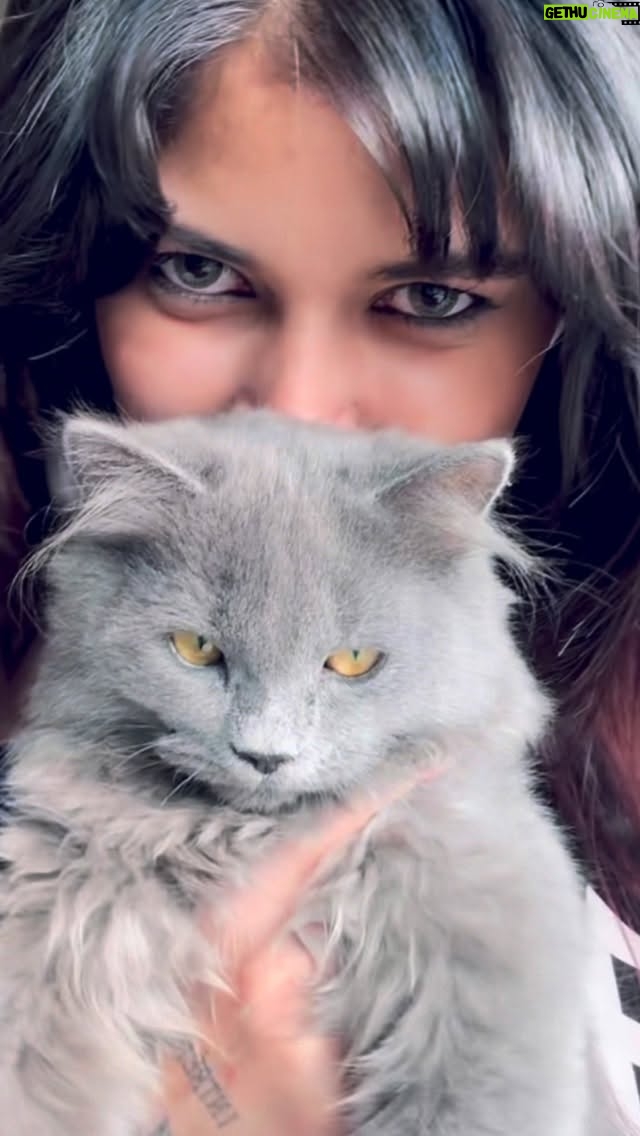 Aman Ramgarhia - 32.4K Likes - Special appearance by Doobie🩶
#amanramgarhia🕊