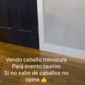 Amparo Grisales Instagram - Quién da más...,?????
Saben qué ...?
Ya no lo vendo..... me lo como a besos....!!!😄😄😃😂🙏🙏🐾🐾🐾🐾🐾