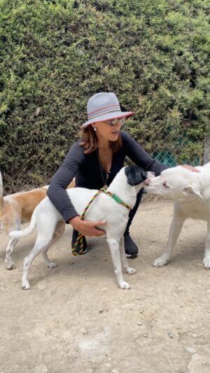 Amparo Grisales Instagram - Visitando a mis peludos en la “GRANJA CANINA DEJANDO HUELLA” …🐾🐾🐾🐶🐶💜💜💜💕💕🙏
Tienen menos de 3 años!!
Son tan amorosos y agradecidos… me los como a besos…!!
William Cortés es el dueño de la granja y GRACIAS a él ,mis rescatados están hermosos , felices y lejos del maltrato y el abandono!!
Aquí con Clío y Astrea … amorosas y listas para dejarse amar….!!🐾🐾💋💋💋
No se vale que las dejen en patios o terrazas encerradas !!
Serán parte de la familia …!
Así que si quieren adoptar esas son las condiciones!!
Y si estás interesad@ comunícate con William Cortés @granjacaninadejandohuella #alzalavoz #amorperruno
#amorincondicional🐶
También visitaré @funperroamor en donde tengo mas perritos 🙏🐾🐾🐾💋