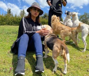 Amparo Grisales Instagram - En la GRANJA CANINA DEJANDO HUELLA con William Cortés y todo su equipo !!👏👏🐾🐾🐾🙏💕💕
Disfrutando de la amorosa compañía de los peludos rescatados …..ahora protegidos agradecidos y felices!!!
ADOPTA… y te llegarán bendiciones del Universo!!
@granjacaninadejandohuella
Gracias a los padres y madres adoptivas de los peludos!!
Nos envían fotos de ellos felices disfrutando del amor de sus nuevos protectores …!!
@funperroamor 🐾🐾🐾🐾🐾🙏🙏🙏💕💕💕💕