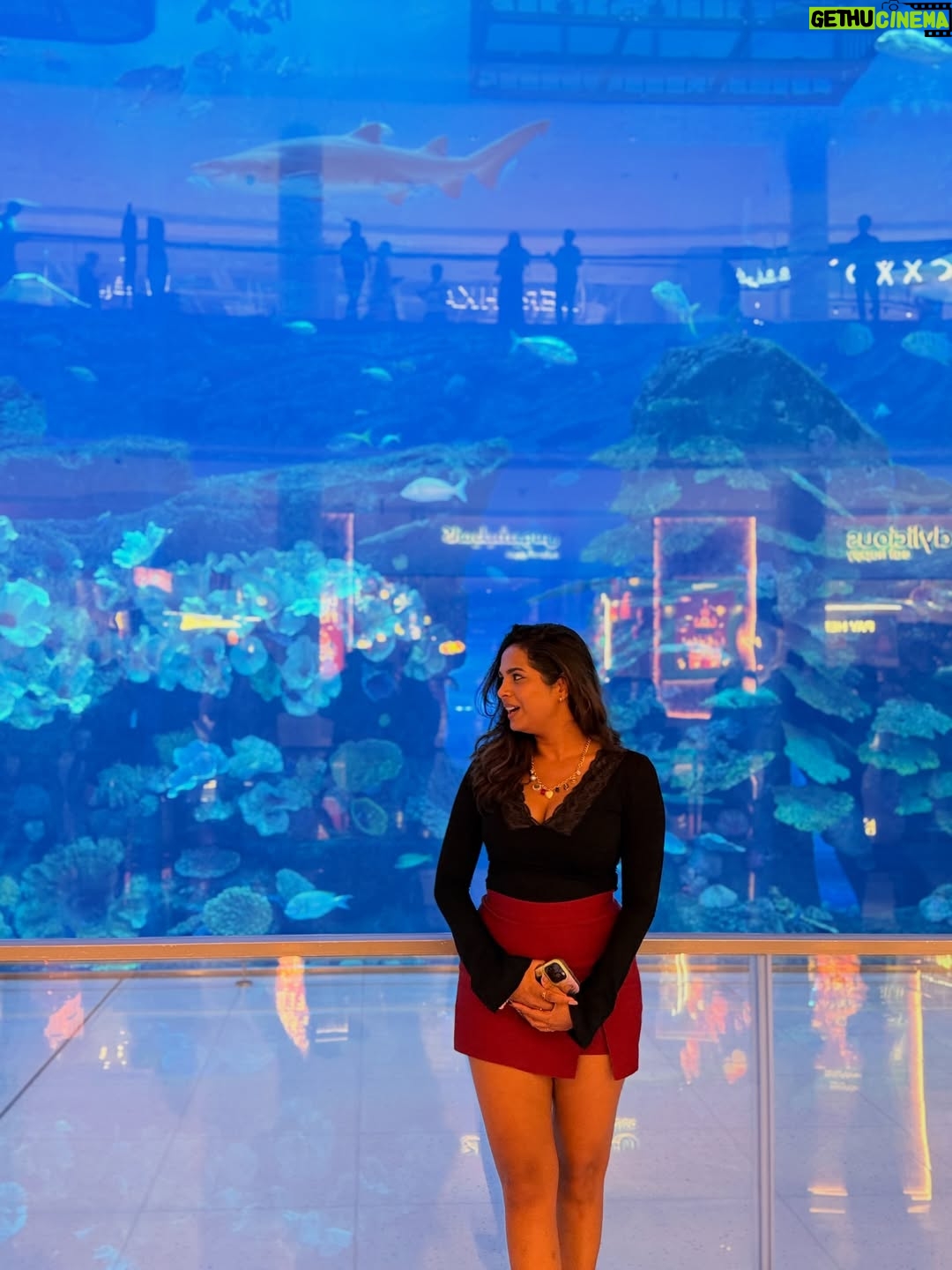 Amruta Dhongade - 11.2K Likes - ♥️
.
.
#amrutadhongade #amrutadhongadeofficial #dubai #travel