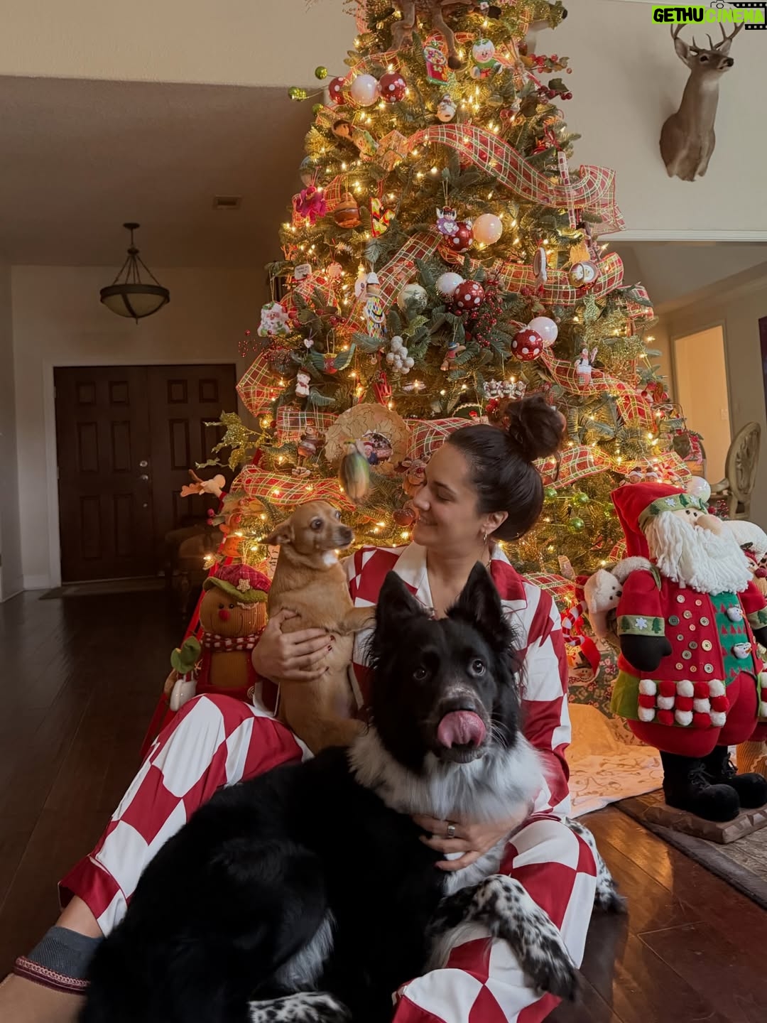 Ana Lorena Sánchez - 4.3K Likes - ¡feliz navidad! // merry christmas!
que el amor de Jesus reine siempre en nuestros corazones.
may Jesus’ love always reign in our hearts.