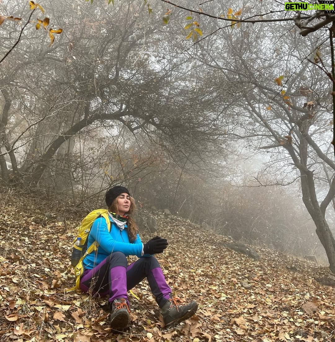 Ana Nemati - 27.7K Likes - شِگفتا چرخیدن در بی نهایت های عالم 
هر لحظه و هر دَم 
چنان ذرات رنگارنگ ، پیدا و پنهان 
می بینمت در موج هستی با چشم دل و جان 
رقص کنان ، شناور در هیجان مواج عشق 
نفس می کشم در آنالمای زمان 
#آنالما #عشق #کائنات #لحظه #زمان #مکان #آرامش #طبیعت #ایران #دلنوشته #خود #♾
عکس های سفر ( هایلایت ۱۳ ) ✨امید که حس و انرژی ناب طبیعت  چشمان زیباتون رو نوازش کنه ، و راه عشق رو به قلب های مهربون شما بهترین ها 👁زیبائی ها رو ببینیم 🧚🏻‍♀️