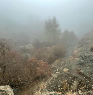 Ana Nemati Instagram - شِگفتا چرخیدن در بی نهایت های عالم 
هر لحظه و هر دَم 
چنان ذرات رنگارنگ ، پیدا و پنهان 
می بینمت در موج هستی با چشم دل و جان 
رقص کنان ، شناور در هیجان مواج عشق 
نفس می کشم در آنالمای زمان 
#آنالما #عشق #کائنات #لحظه #زمان #مکان #آرامش #طبیعت #ایران #دلنوشته #خود #♾
عکس های سفر ( هایلایت ۱۳ ) ✨امید که حس و انرژی ناب طبیعت  چشمان زیباتون رو نوازش کنه ، و راه عشق رو به قلب های مهربون شما بهترین ها 👁زیبائی ها رو ببینیم 🧚🏻‍♀️