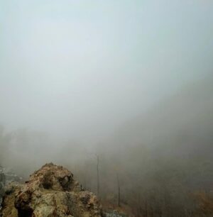 Ana Nemati Instagram - شِگفتا چرخیدن در بی نهایت های عالم 
هر لحظه و هر دَم 
چنان ذرات رنگارنگ ، پیدا و پنهان 
می بینمت در موج هستی با چشم دل و جان 
رقص کنان ، شناور در هیجان مواج عشق 
نفس می کشم در آنالمای زمان 
#آنالما #عشق #کائنات #لحظه #زمان #مکان #آرامش #طبیعت #ایران #دلنوشته #خود #♾
عکس های سفر ( هایلایت ۱۳ ) ✨امید که حس و انرژی ناب طبیعت  چشمان زیباتون رو نوازش کنه ، و راه عشق رو به قلب های مهربون شما بهترین ها 👁زیبائی ها رو ببینیم 🧚🏻‍♀️