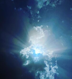 Ana Nemati Instagram - من تو هستم و تو من ، من خودم را در تو میبینم و تو خود را در من ، صعود ما لحظه ای است در منتهای شکفتن های زندگی در چرخه هستی بخش گیتی …من روزی تو را دیدم و جای تو ایستادم و تو روزی من را میبینی و جای من #🌀 #♾ این لحظه های زیبای بودن تقدیم چشمان زیبایت #〰 
این هم دفتری دیگر از سفری دیگر ،روزی دیگر و مکانی دیگر ——بماند به یادگار (.)
لحظه های ماندگار از صعود (هایلایت ۱۵ ) 
#کوهنوردی #کوه #سفر #آناهیتا_نعمتی #آنا_نعمتی #ایران #کوهستان #صعود #قله_پلنگ_کوه 

#climbing #iran #mountains #annanemai #🗻 #naturephotography #universe #annahitanemati#time #peak #hyking #love
🌀متاسفم ، دو تا از عکس ها تکرار و‌یک عکس سیاه شده 🌀