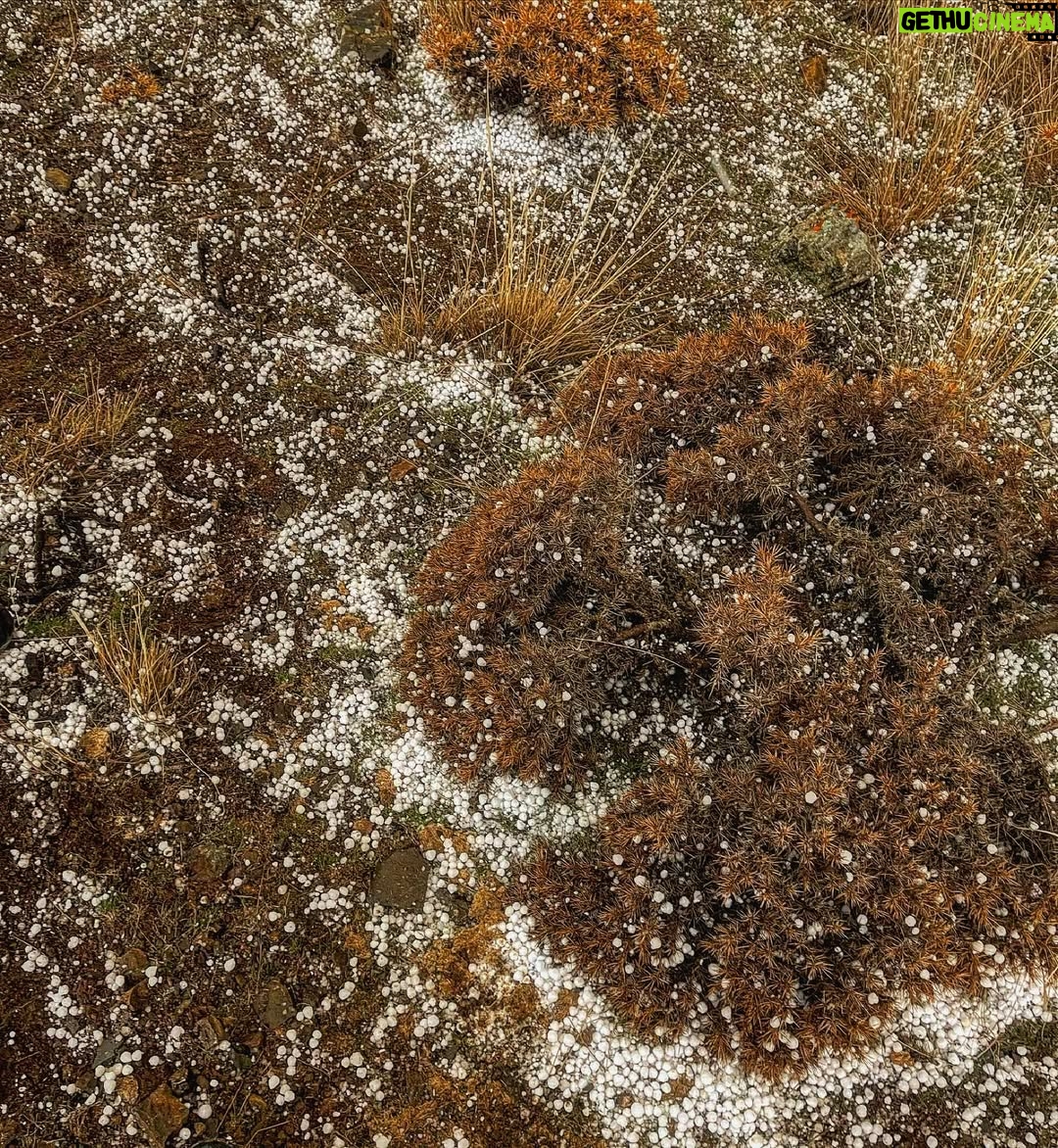 Ana Nemati - 16.4K Likes - من تو هستم و تو من ، من خودم را در تو میبینم و تو خود را در من ، صعود ما لحظه ای است در منتهای شکفتن های زندگی در چرخه هستی بخش گیتی …من روزی تو را دیدم و جای تو ایستادم و تو روزی من را میبینی و جای من #🌀 #♾ این لحظه های زیبای بودن تقدیم چشمان زیبایت #〰 
این هم دفتری دیگر از سفری دیگر ،روزی دیگر و مکانی دیگر ——بماند به یادگار (.)
لحظه های ماندگار از صعود (هایلایت ۱۵ ) 
#کوهنوردی #کوه #سفر #آناهیتا_نعمتی #آنا_نعمتی #ایران #کوهستان #صعود #قله_پلنگ_کوه 

#climbing #iran #mountains #annanemai #🗻 #naturephotography #universe #annahitanemati#time #peak #hyking #love
🌀متاسفم ، دو تا از عکس ها تکرار و‌یک عکس سیاه شده 🌀