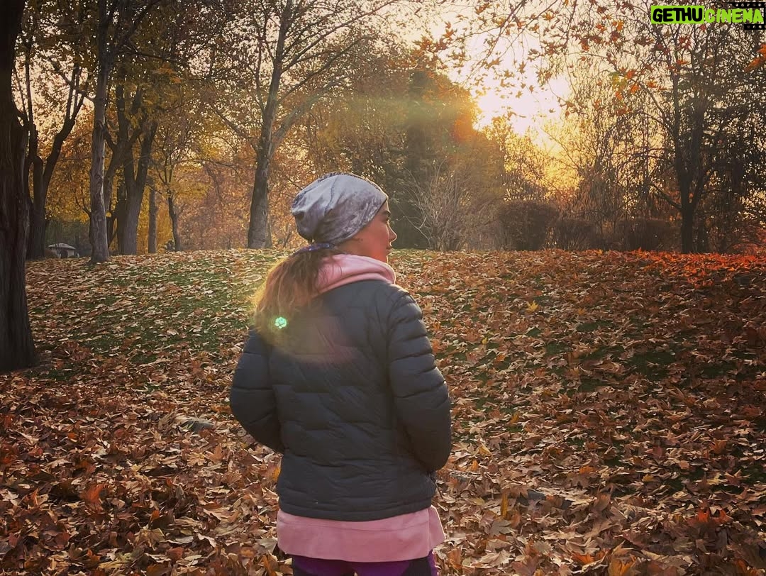 Ana Nemati - 11.1K Likes - یادگاری از پائیز ۱۴۰۰ 🍁
 من از لذت زیستن در جهان برخوردار هستم ، زندگی میکنم و عشق میورزم