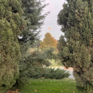 Ana Nemati Instagram - #باغ_ملی_گیاه_شناسی #تهران #طبیعت 
🕊
در سفر زندگی ، از مسیر لذت ببر دوست من ♾💫
(این باغ شگفت انگیز رو با یکبار نمیشه کامل دید )