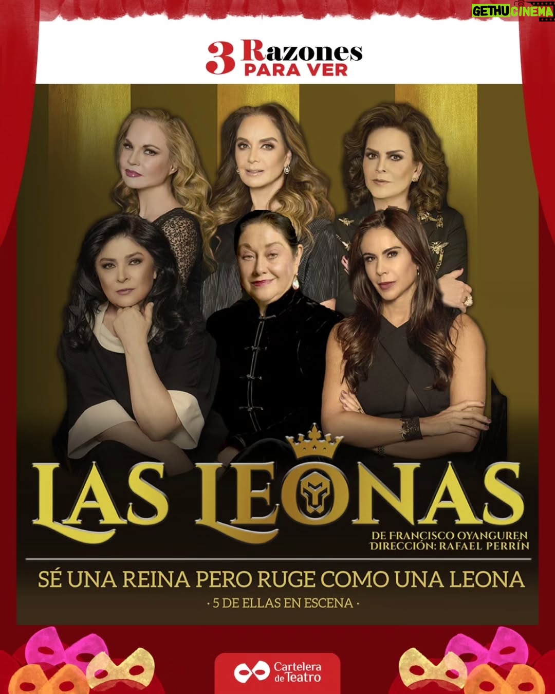 Ana Patricia Rojo - 883 Likes - Las leonas se presenta en el Teatro México. Te contamos tres razones para ver esta exitosa obra. Además tenemos en un precio especial para ti en www.carteleradeteatro.mx.

#Teatro #cdmx #angélicaaragón #anapatriciarojo #marapatriciacastañeda #victoriaruffo #lupitajones #paolarojas