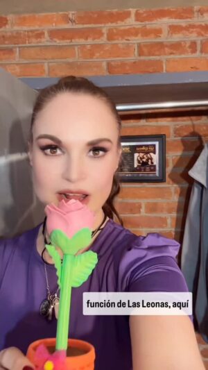 Ana Patricia Rojo Instagram - @lasleonasteatro función de sábado 8 de noviembre.. 7 semanas más.. 🎭🩷