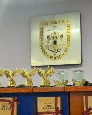 Ana Patricia Rojo Instagram - Noche de galardones, gracias Raag , gracias CANACO Servitur, gracias a ti que me sigues , a ti que has ido al teatro , a ti que me apoyas y me alientas. Me siento profundamente bendecida y agradecida.