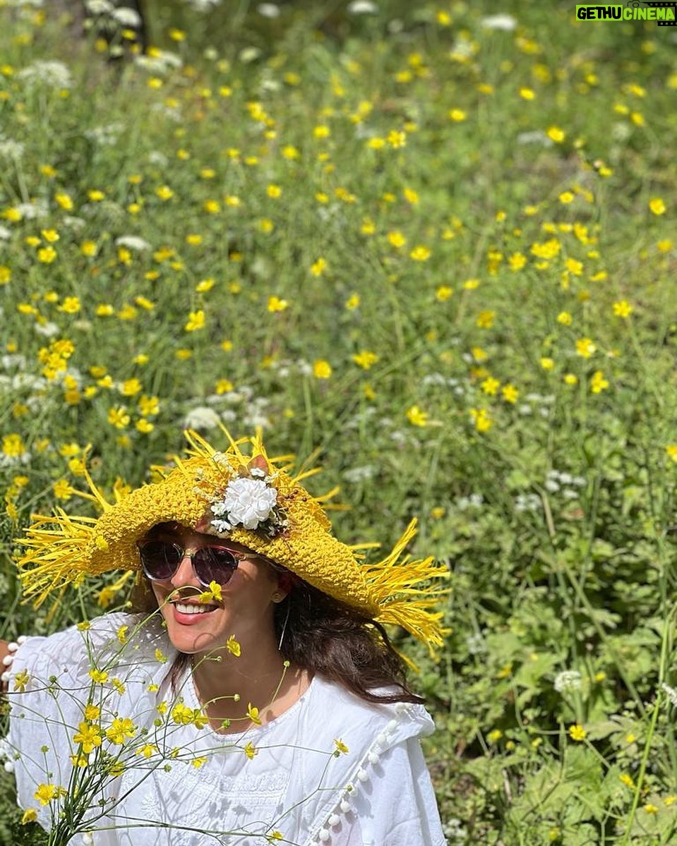 Anahita Dargahi - 92.4K Likes - گفتا به دلربایی ما را چگونه دیدی

گفتم چو خرمنی گل در بزم دلربایی

«خواجوی کرمانی»