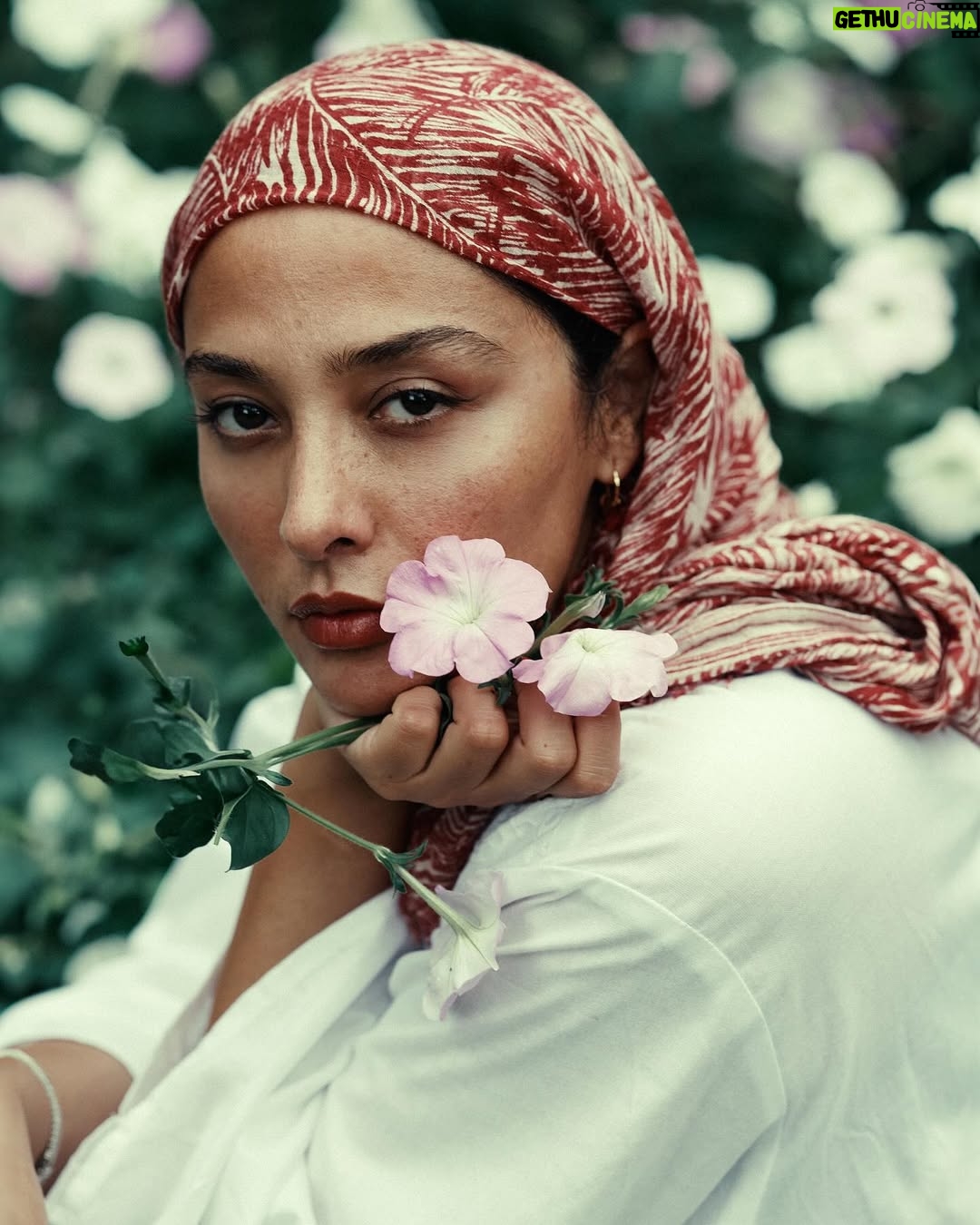 Anahita Dargahi - 277.6K Likes - تنها جایی که پناه امن روح آدمیزاده 
فقط و فقط طبیعته
حداقل برای من که اینطوره
شما چطور؟