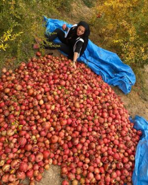 Anahita Dargahi Instagram - صحبت حكام ، ظلمت شب يلداست
نور ز خورشيد خواه، بو كه برآيد
حافظ