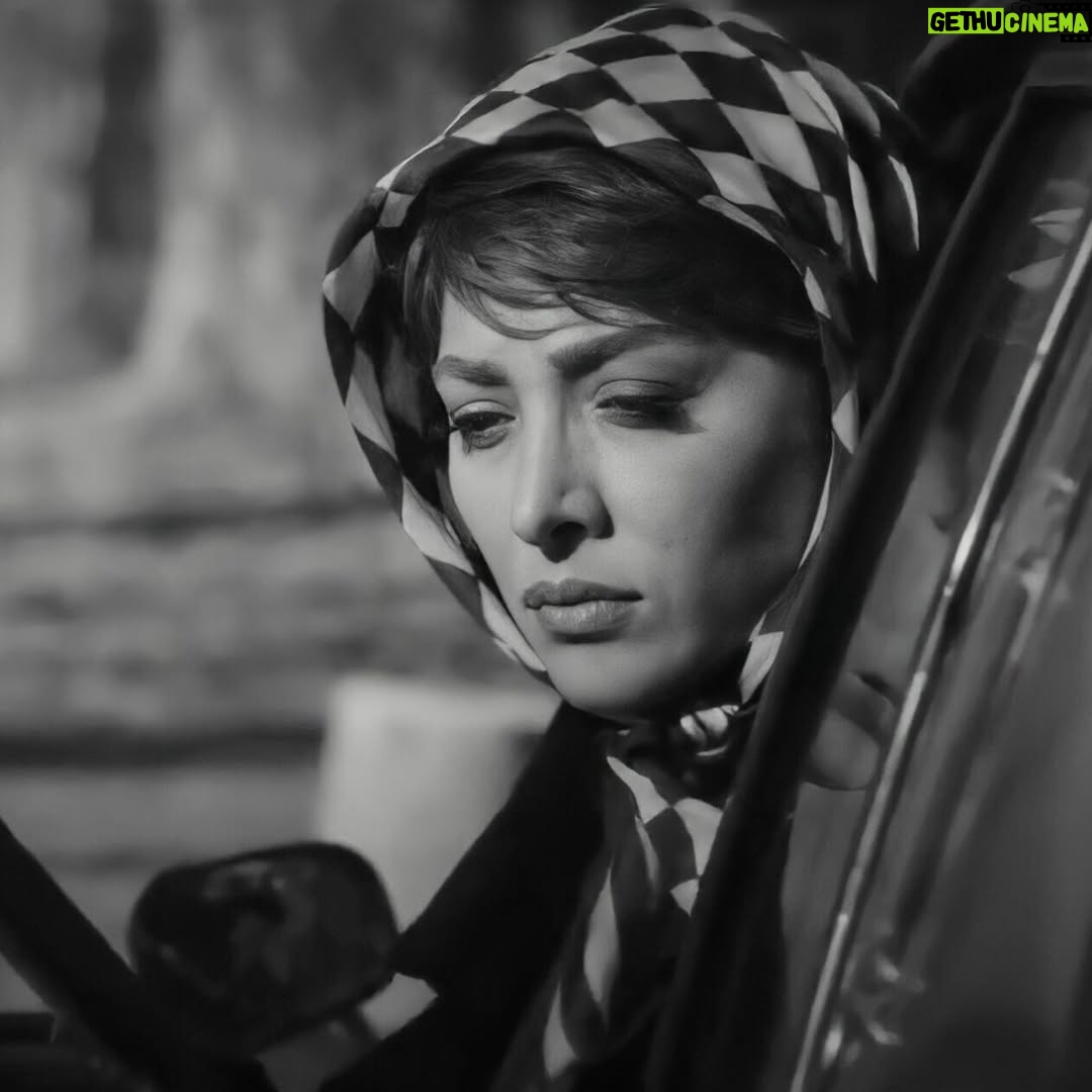 Anahita Dargahi - 69.8K Likes - #شيوا_مستور
#مي_خواهم_زنده_بمانم 
تهيه كننده @mohamad.shayesteh 
كارگردان @shahram.shahhosseini 
#آناهيتا_درگاهى