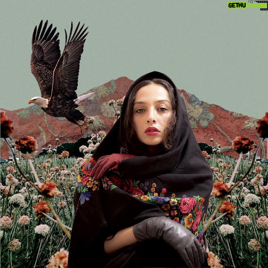 Anahita Dargahi - 51.5K Likes - زنبور عسل
مدهوش می شود
از عطر گلی ناشناخته
عباس کیارستمی
بهار مبارک🌷
Artwork @shabartwork 
#آناهيتا_درگاهي 
عكس @hoseinhajibabaei