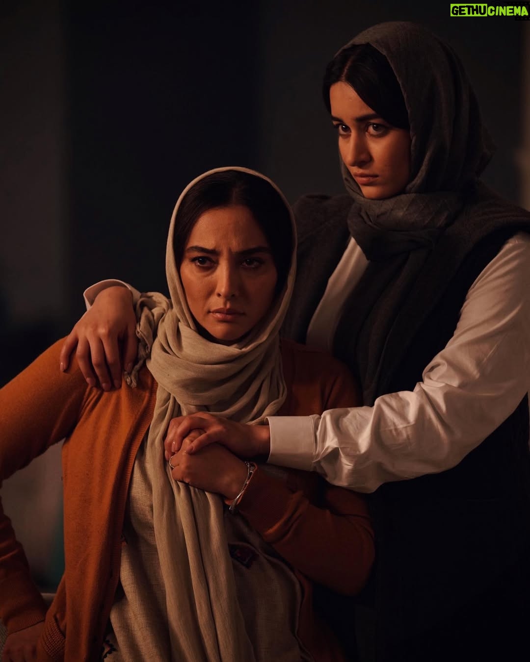 Anahita Dargahi - 51.7K Likes - قسمت ۷ چطور بود؟

#قطب_شمال

@kimiya.pourahmad 📷

@aminyekta.a :کارگردان