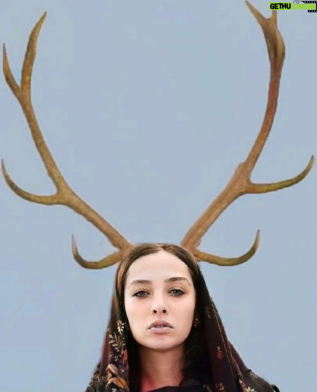 Anahita Dargahi - 91.9K Likes - در تکاپوی انسان شدن..

#آناهيتا_درگاهى
Art work @sajadbahadivand