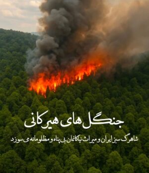 Anahita Hemmati Instagram - .
#ما_چقدر_تنهاییم
آتش به جان خانه افتاده
جنگل های هیرکانی عمرش از پدید آمدن انسان، و سپس دین و مذهب های مختلف، خیلی خیلی طولانی تر است.
کاش به جای غزه و لبنان و سوریه و عراق، حکومت یه نگاهی هم به سرزمین ما #ایران داشت. با اینهمه هارت و پورت که دنیا را میخواهند نابود کنن!!!... 
حتی از پس خاموش کردن آتش هم برنمیآیند.
قلبم فشرده است، فشار بغض در تمامی لحظات گلویم را میفشارد. کلا شهرهامون تبدیل به آشوئیتس شده، داریم خفه میشیم. آب هم نیست چون بیخردان از پس بازسازی و تعمیرات سیستم آبرسانی برنمیایند، چند برابر آب مصرفی مردم در اثر نشتی به هرز میره. واقعا چرا مملکت را متخصصان نمیچرخانند؟! لعنت بهشون که با تصمیم های اشتباه مارو از چاله انداختن تو چاه تباهی و نیستی.
#anahitahemmati #iran #hirkani 
#آناهیتا_همتی #آناهیتاهمتی #آناهیتا 
#جنگلهای_هیرکانی در #آتش #بی_تفاوت_نباشیم #بیغیرت_نباشیم