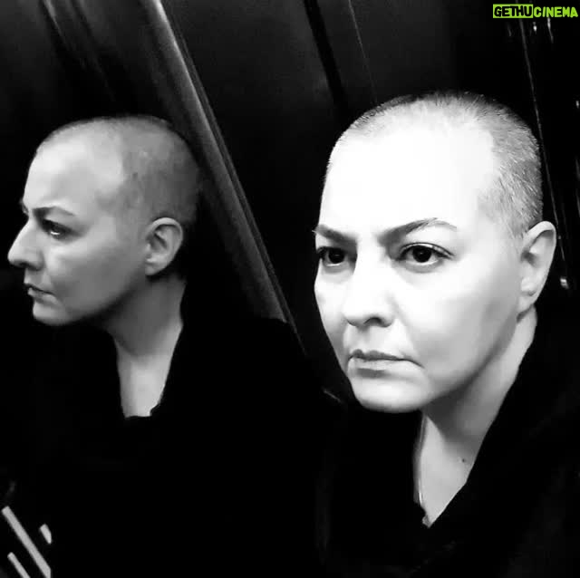 Anahita Hemmati - 38.9K Likes - .
 من در #شهریور۱۴۰۱ #تهران #ایران
برای #ژینا #نیکا #سارینا و ...
برای همه دختران و مادران ایران
#ژن_ژیان_ئازادی #زن_زندگی_آزادی #عدالت_اجتماعی #برابری #آزادی #صلح
#anahitahemmati #anahita #peace #liberty #equality #freedom #stopkillinginnocentpeople #woman_life_freedom #womanlifefreedom 
#tehran #iran 
#zhinaamini #nikashakarami #sarinaesmailzadeh #mahsaamini