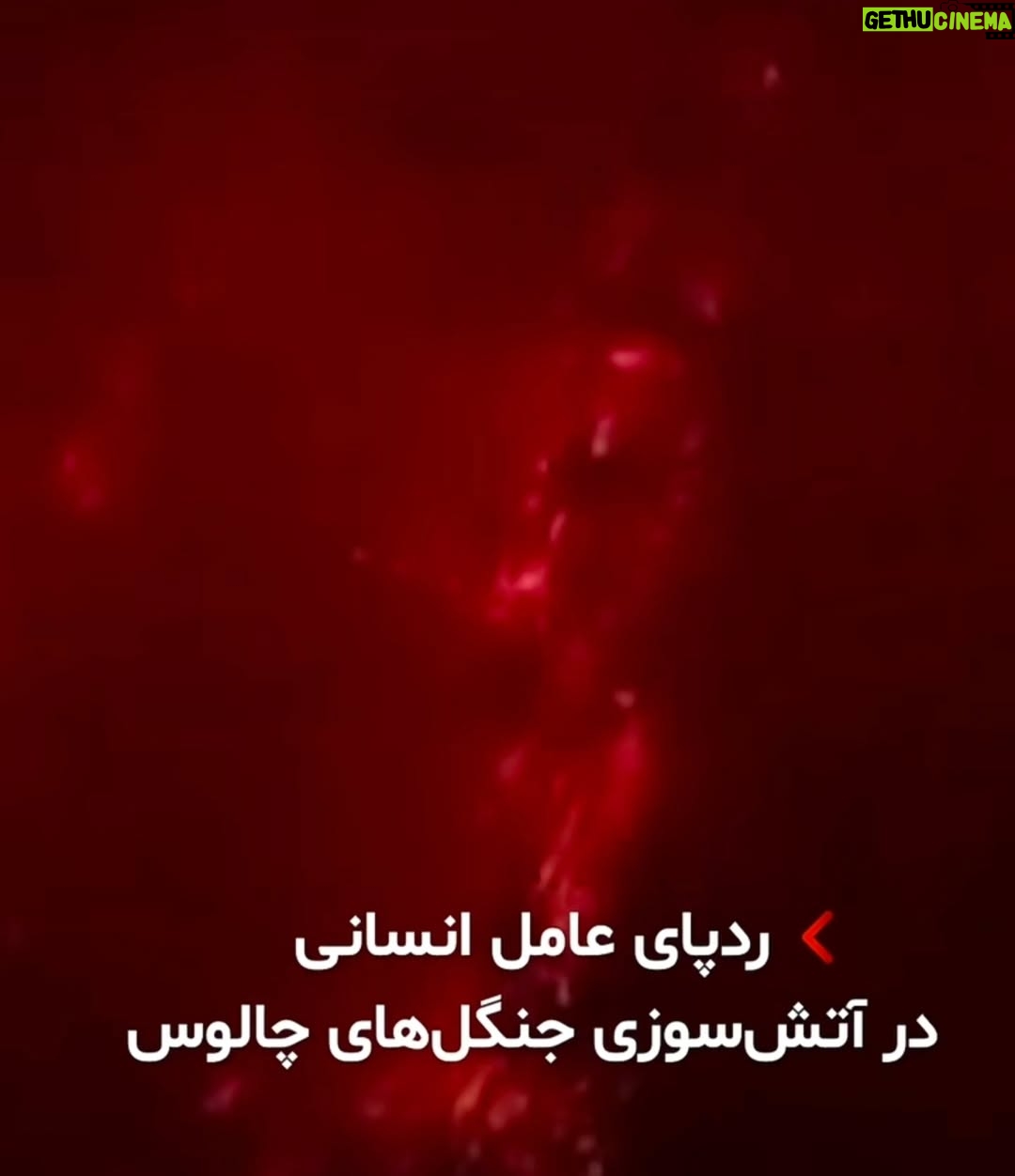 Anahita Hemmati - 23.7K Likes - .
#ما_چقدر_تنهاییم
آتش به جان خانه افتاده
جنگل های هیرکانی عمرش از پدید آمدن انسان، و سپس دین و مذهب های مختلف، خیلی خیلی طولانی تر است.
کاش به جای غزه و لبنان و سوریه و عراق، حکومت یه نگاهی هم به سرزمین ما #ایران داشت. با اینهمه هارت و پورت که دنیا را میخواهند نابود کنن!!!... 
حتی از پس خاموش کردن آتش هم برنمیآیند.
قلبم فشرده است، فشار بغض در تمامی لحظات گلویم را میفشارد. کلا شهرهامون تبدیل به آشوئیتس شده، داریم خفه میشیم. آب هم نیست چون بیخردان از پس بازسازی و تعمیرات سیستم آبرسانی برنمیایند، چند برابر آب مصرفی مردم در اثر نشتی به هرز میره. واقعا چرا مملکت را متخصصان نمیچرخانند؟! لعنت بهشون که با تصمیم های اشتباه مارو از چاله انداختن تو چاه تباهی و نیستی.
#anahitahemmati #iran #hirkani 
#آناهیتا_همتی #آناهیتاهمتی #آناهیتا 
#جنگلهای_هیرکانی در #آتش #بی_تفاوت_نباشیم #بیغیرت_نباشیم