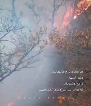 Anahita Hemmati Instagram - .
#ما_چقدر_تنهاییم
آتش به جان خانه افتاده
جنگل های هیرکانی عمرش از پدید آمدن انسان، و سپس دین و مذهب های مختلف، خیلی خیلی طولانی تر است.
کاش به جای غزه و لبنان و سوریه و عراق، حکومت یه نگاهی هم به سرزمین ما #ایران داشت. با اینهمه هارت و پورت که دنیا را میخواهند نابود کنن!!!... 
حتی از پس خاموش کردن آتش هم برنمیآیند.
قلبم فشرده است، فشار بغض در تمامی لحظات گلویم را میفشارد. کلا شهرهامون تبدیل به آشوئیتس شده، داریم خفه میشیم. آب هم نیست چون بیخردان از پس بازسازی و تعمیرات سیستم آبرسانی برنمیایند، چند برابر آب مصرفی مردم در اثر نشتی به هرز میره. واقعا چرا مملکت را متخصصان نمیچرخانند؟! لعنت بهشون که با تصمیم های اشتباه مارو از چاله انداختن تو چاه تباهی و نیستی.
#anahitahemmati #iran #hirkani 
#آناهیتا_همتی #آناهیتاهمتی #آناهیتا 
#جنگلهای_هیرکانی در #آتش #بی_تفاوت_نباشیم #بیغیرت_نباشیم