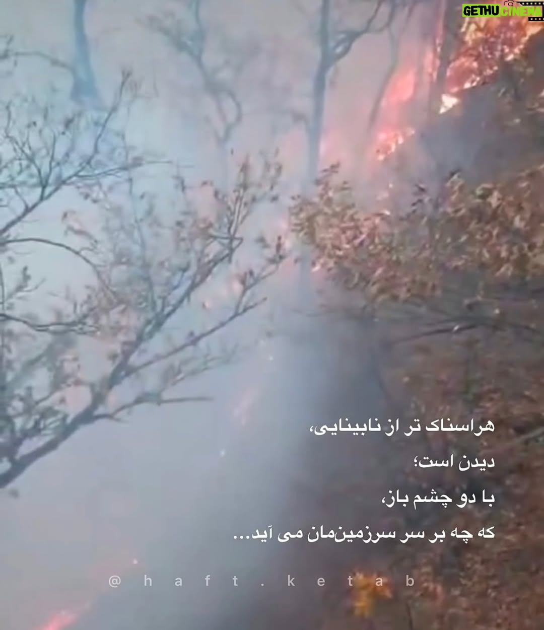 Anahita Hemmati - 23.7K Likes - .
#ما_چقدر_تنهاییم
آتش به جان خانه افتاده
جنگل های هیرکانی عمرش از پدید آمدن انسان، و سپس دین و مذهب های مختلف، خیلی خیلی طولانی تر است.
کاش به جای غزه و لبنان و سوریه و عراق، حکومت یه نگاهی هم به سرزمین ما #ایران داشت. با اینهمه هارت و پورت که دنیا را میخواهند نابود کنن!!!... 
حتی از پس خاموش کردن آتش هم برنمیآیند.
قلبم فشرده است، فشار بغض در تمامی لحظات گلویم را میفشارد. کلا شهرهامون تبدیل به آشوئیتس شده، داریم خفه میشیم. آب هم نیست چون بیخردان از پس بازسازی و تعمیرات سیستم آبرسانی برنمیایند، چند برابر آب مصرفی مردم در اثر نشتی به هرز میره. واقعا چرا مملکت را متخصصان نمیچرخانند؟! لعنت بهشون که با تصمیم های اشتباه مارو از چاله انداختن تو چاه تباهی و نیستی.
#anahitahemmati #iran #hirkani 
#آناهیتا_همتی #آناهیتاهمتی #آناهیتا 
#جنگلهای_هیرکانی در #آتش #بی_تفاوت_نباشیم #بیغیرت_نباشیم
