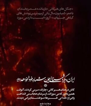 Anahita Hemmati Instagram - .
#ما_چقدر_تنهاییم
آتش به جان خانه افتاده
جنگل های هیرکانی عمرش از پدید آمدن انسان، و سپس دین و مذهب های مختلف، خیلی خیلی طولانی تر است.
کاش به جای غزه و لبنان و سوریه و عراق، حکومت یه نگاهی هم به سرزمین ما #ایران داشت. با اینهمه هارت و پورت که دنیا را میخواهند نابود کنن!!!... 
حتی از پس خاموش کردن آتش هم برنمیآیند.
قلبم فشرده است، فشار بغض در تمامی لحظات گلویم را میفشارد. کلا شهرهامون تبدیل به آشوئیتس شده، داریم خفه میشیم. آب هم نیست چون بیخردان از پس بازسازی و تعمیرات سیستم آبرسانی برنمیایند، چند برابر آب مصرفی مردم در اثر نشتی به هرز میره. واقعا چرا مملکت را متخصصان نمیچرخانند؟! لعنت بهشون که با تصمیم های اشتباه مارو از چاله انداختن تو چاه تباهی و نیستی.
#anahitahemmati #iran #hirkani 
#آناهیتا_همتی #آناهیتاهمتی #آناهیتا 
#جنگلهای_هیرکانی در #آتش #بی_تفاوت_نباشیم #بیغیرت_نباشیم