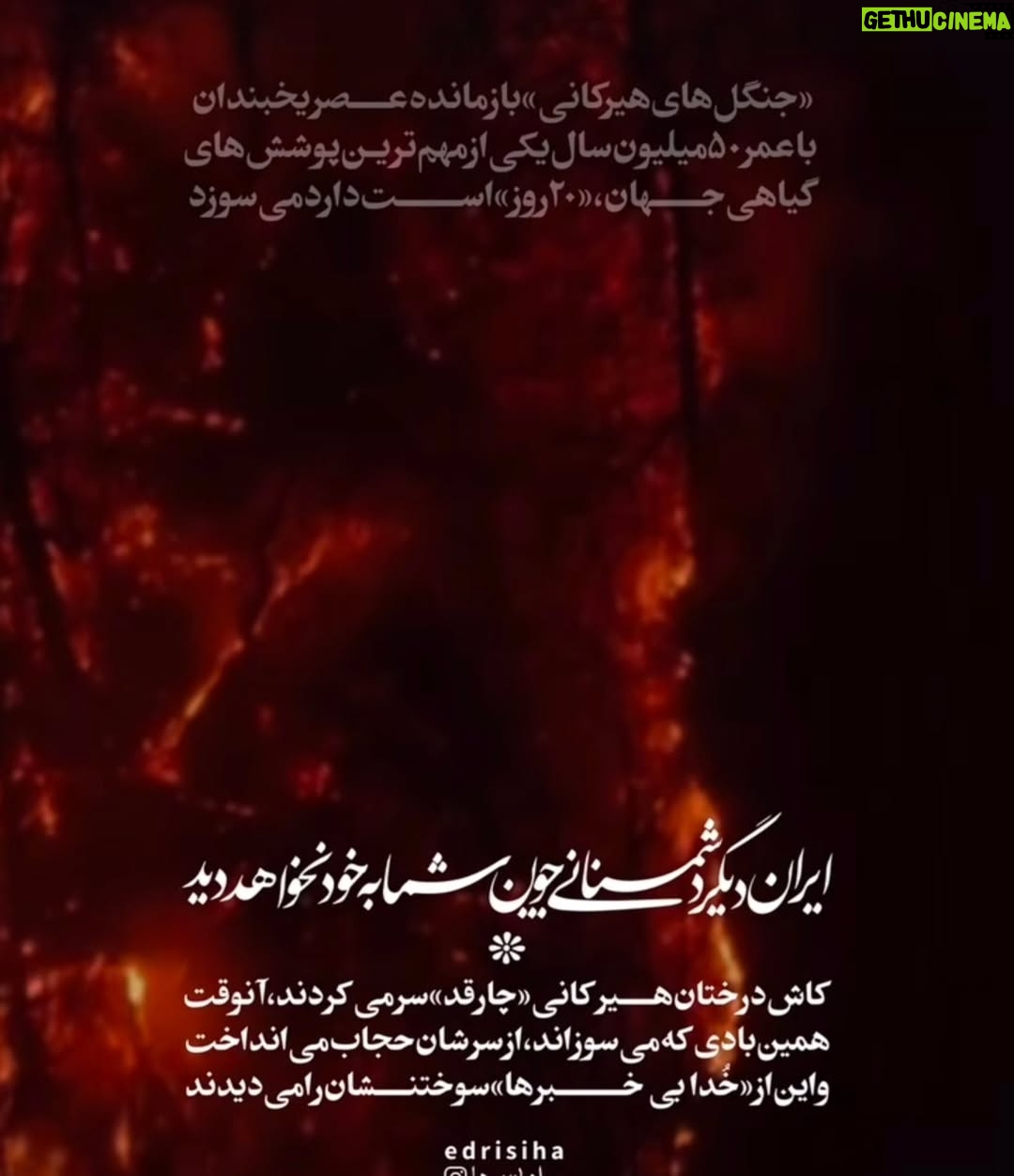 Anahita Hemmati - 23.7K Likes - .
#ما_چقدر_تنهاییم
آتش به جان خانه افتاده
جنگل های هیرکانی عمرش از پدید آمدن انسان، و سپس دین و مذهب های مختلف، خیلی خیلی طولانی تر است.
کاش به جای غزه و لبنان و سوریه و عراق، حکومت یه نگاهی هم به سرزمین ما #ایران داشت. با اینهمه هارت و پورت که دنیا را میخواهند نابود کنن!!!... 
حتی از پس خاموش کردن آتش هم برنمیآیند.
قلبم فشرده است، فشار بغض در تمامی لحظات گلویم را میفشارد. کلا شهرهامون تبدیل به آشوئیتس شده، داریم خفه میشیم. آب هم نیست چون بیخردان از پس بازسازی و تعمیرات سیستم آبرسانی برنمیایند، چند برابر آب مصرفی مردم در اثر نشتی به هرز میره. واقعا چرا مملکت را متخصصان نمیچرخانند؟! لعنت بهشون که با تصمیم های اشتباه مارو از چاله انداختن تو چاه تباهی و نیستی.
#anahitahemmati #iran #hirkani 
#آناهیتا_همتی #آناهیتاهمتی #آناهیتا 
#جنگلهای_هیرکانی در #آتش #بی_تفاوت_نباشیم #بیغیرت_نباشیم