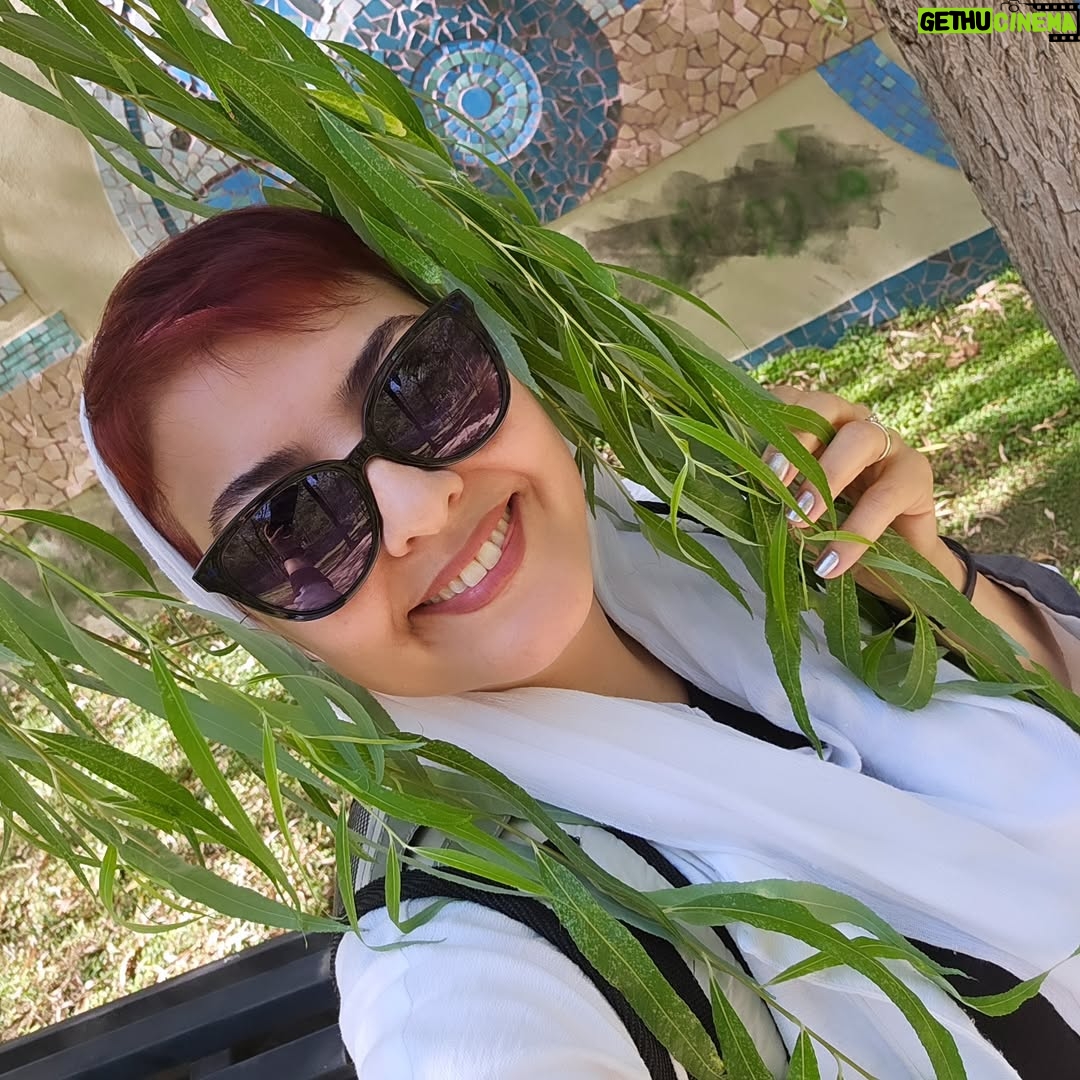 Anahita Hemmati - 21.1K Likes - #☮️ 
#peace #hope
#درخت_زیبای_من #بید_مجنون 
#photobyanahitahemmati 
#anahitahemmati #anahita 
#sep2024
#آناهیتا_همتی #آناهیتاهمتی #آناهیتا 
#شهریور۱۴۰۳