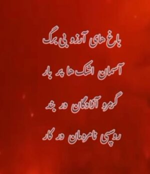 Anahita Hemmati Instagram - .
#ما_چقدر_تنهاییم
آتش به جان خانه افتاده
جنگل های هیرکانی عمرش از پدید آمدن انسان، و سپس دین و مذهب های مختلف، خیلی خیلی طولانی تر است.
کاش به جای غزه و لبنان و سوریه و عراق، حکومت یه نگاهی هم به سرزمین ما #ایران داشت. با اینهمه هارت و پورت که دنیا را میخواهند نابود کنن!!!... 
حتی از پس خاموش کردن آتش هم برنمیآیند.
قلبم فشرده است، فشار بغض در تمامی لحظات گلویم را میفشارد. کلا شهرهامون تبدیل به آشوئیتس شده، داریم خفه میشیم. آب هم نیست چون بیخردان از پس بازسازی و تعمیرات سیستم آبرسانی برنمیایند، چند برابر آب مصرفی مردم در اثر نشتی به هرز میره. واقعا چرا مملکت را متخصصان نمیچرخانند؟! لعنت بهشون که با تصمیم های اشتباه مارو از چاله انداختن تو چاه تباهی و نیستی.
#anahitahemmati #iran #hirkani 
#آناهیتا_همتی #آناهیتاهمتی #آناهیتا 
#جنگلهای_هیرکانی در #آتش #بی_تفاوت_نباشیم #بیغیرت_نباشیم