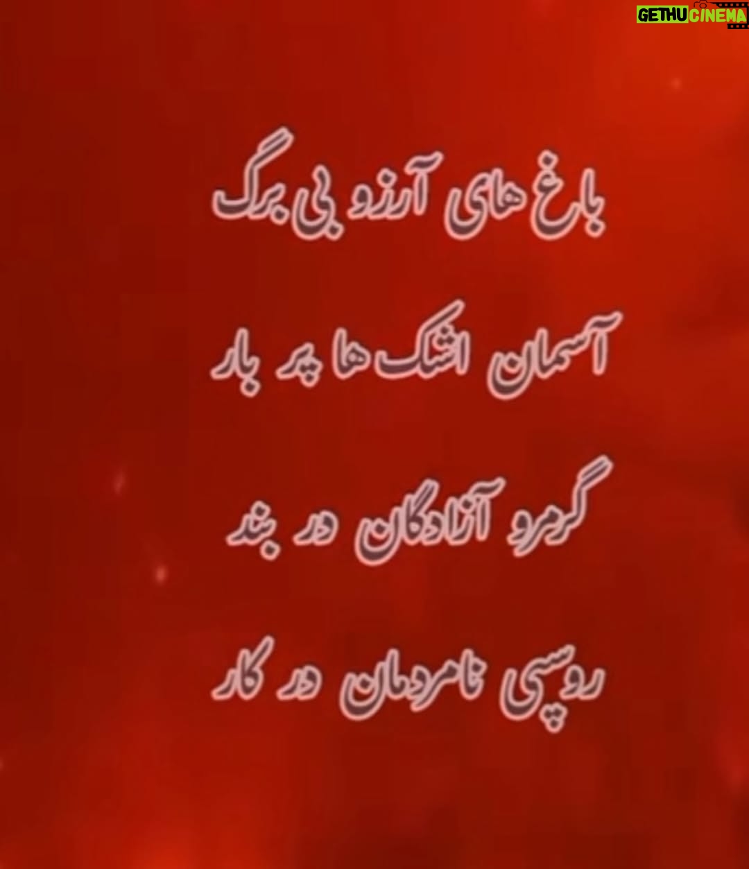 Anahita Hemmati - 23.7K Likes - .
#ما_چقدر_تنهاییم
آتش به جان خانه افتاده
جنگل های هیرکانی عمرش از پدید آمدن انسان، و سپس دین و مذهب های مختلف، خیلی خیلی طولانی تر است.
کاش به جای غزه و لبنان و سوریه و عراق، حکومت یه نگاهی هم به سرزمین ما #ایران داشت. با اینهمه هارت و پورت که دنیا را میخواهند نابود کنن!!!... 
حتی از پس خاموش کردن آتش هم برنمیآیند.
قلبم فشرده است، فشار بغض در تمامی لحظات گلویم را میفشارد. کلا شهرهامون تبدیل به آشوئیتس شده، داریم خفه میشیم. آب هم نیست چون بیخردان از پس بازسازی و تعمیرات سیستم آبرسانی برنمیایند، چند برابر آب مصرفی مردم در اثر نشتی به هرز میره. واقعا چرا مملکت را متخصصان نمیچرخانند؟! لعنت بهشون که با تصمیم های اشتباه مارو از چاله انداختن تو چاه تباهی و نیستی.
#anahitahemmati #iran #hirkani 
#آناهیتا_همتی #آناهیتاهمتی #آناهیتا 
#جنگلهای_هیرکانی در #آتش #بی_تفاوت_نباشیم #بیغیرت_نباشیم