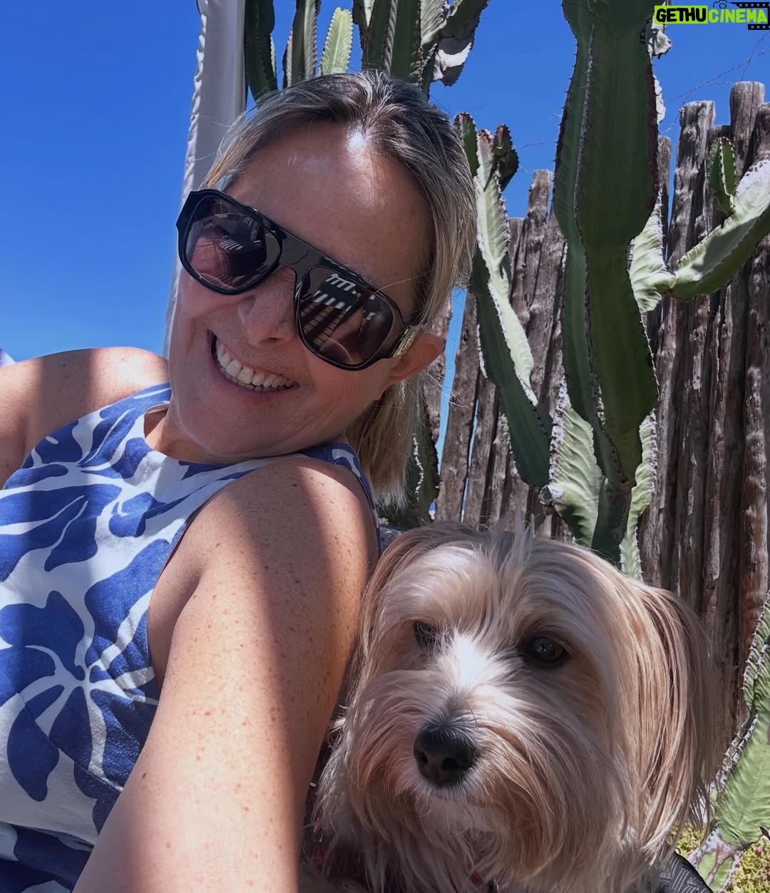 Andrea Tessa - 4.9K Likes - Nuestro primer verano juntas, deseando que sean muchísimos! Junto a Pippa quisiera agradecer un año particularmente lindo, porque hubo mucha música, buena salud, viajes y mucho amor 🥰. Gracias a ustedes por el apoyo y muestras de cariño por tantos años, gracias a los colegas con quienes compartí escenario y el goce de la música en tantas salas y teatros de Chile. Gracias por la amistad, gracias incluso a los momentos tristes, porque de ellos se aprende y se crece. Les envío bendiciones y mucho amor en esta Navidad 🎄. Que reine La Paz y el diálogo en sus hogares.