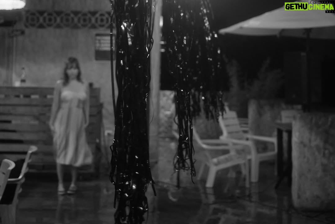Angélica Blandón - 1.3K Likes - Creating memories 💫

HBD Martinez desde @larosanauticaclub 
DJ set @pandoraguaduas 

 🧛 @gustavomartinez_ @brisablandon @julietablahblah @elmao13 

Fujifilm x100 VI @fujifilmcolombia