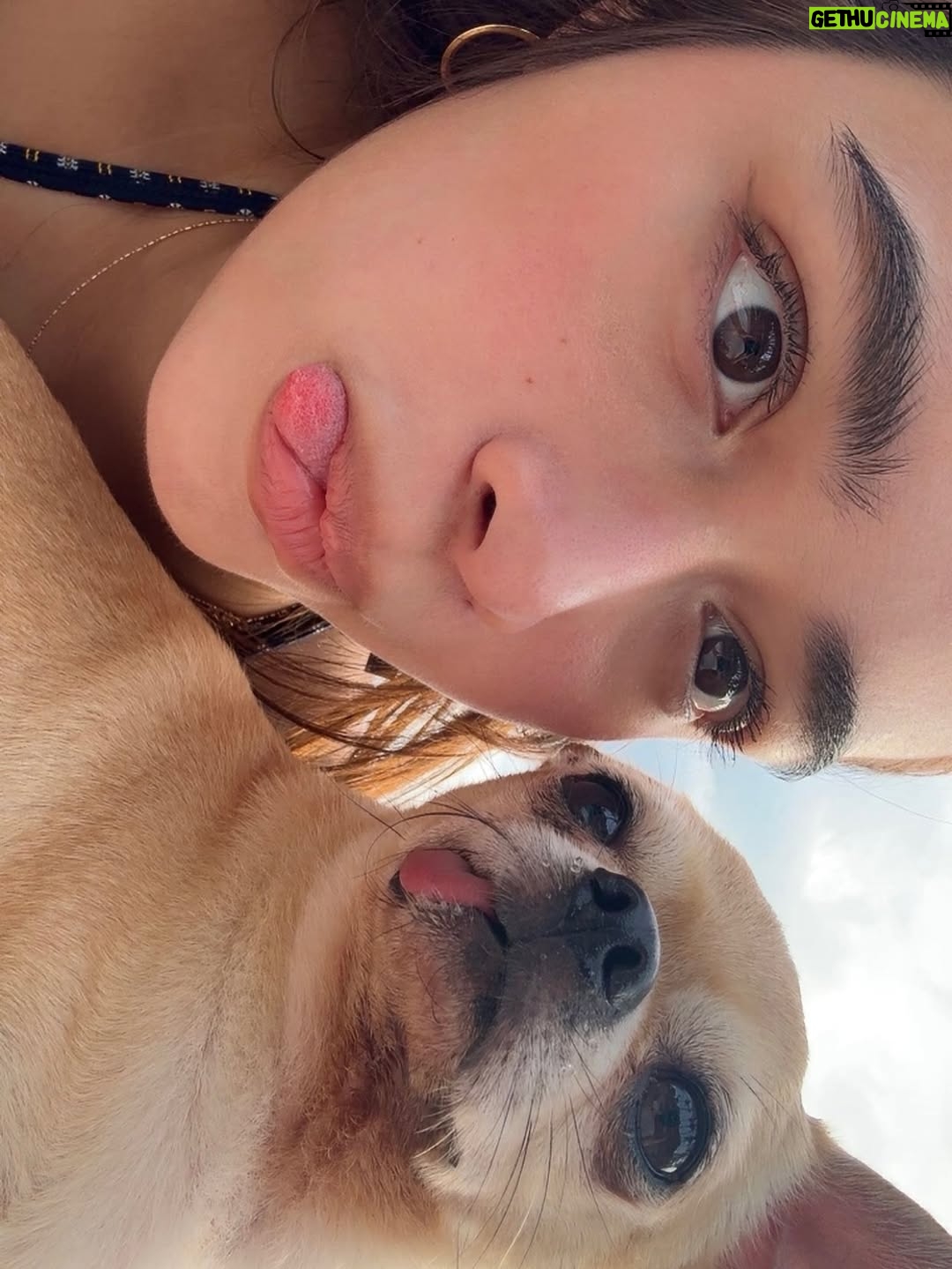 Angelina Cruz - 45.5K Likes - more of me by the sea & buddy