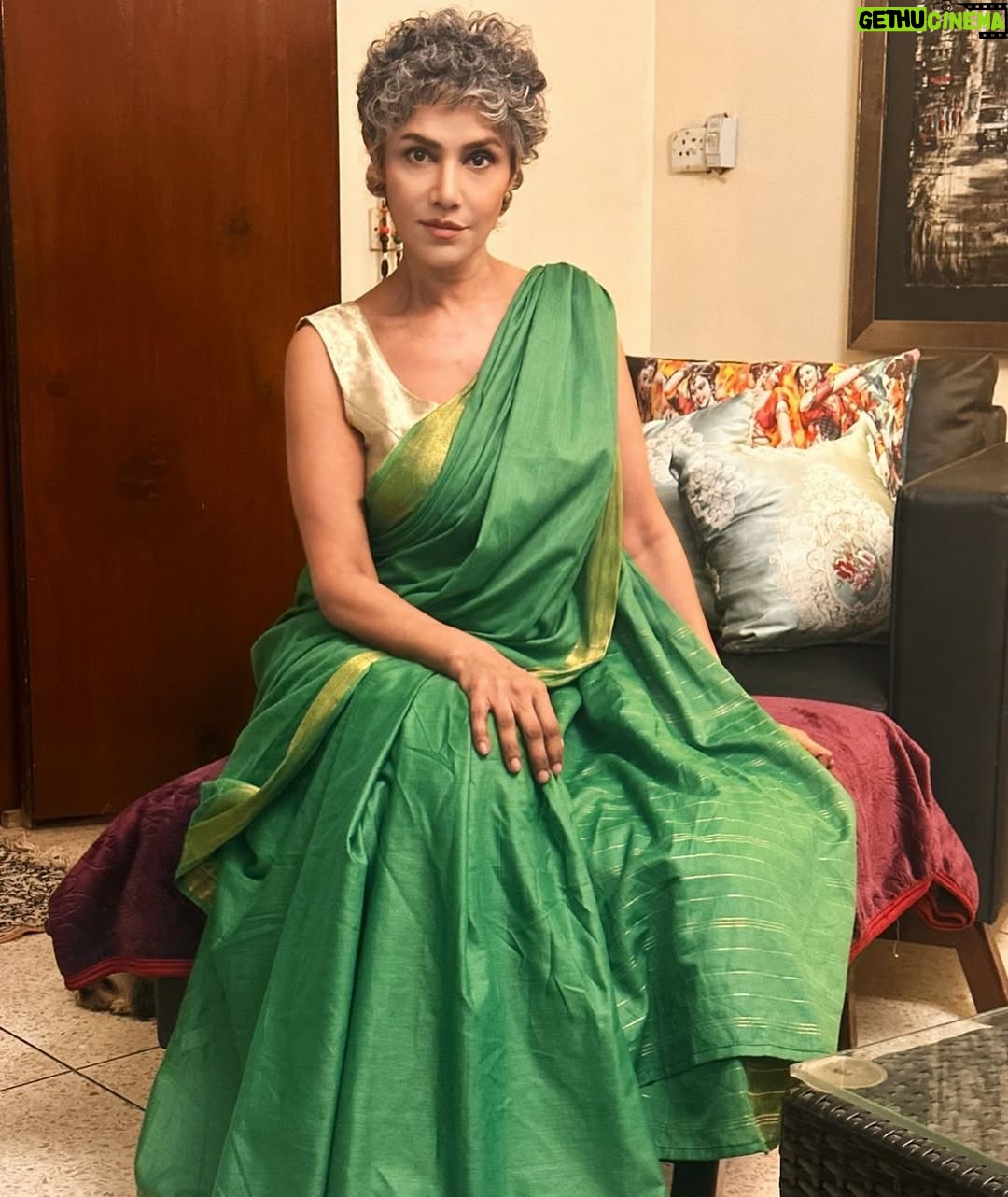 Angeline Malik - 310 Likes - Stepping into the wedding season wrapped in the elegance of a handwoven cotton sari by Khaamta. 

#wedding
