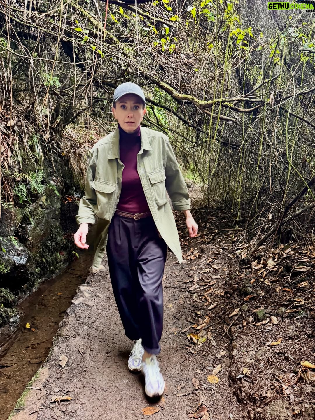 Anita Sokołowska - 3.1K Likes - …
Madera. Niejednorodna. Kapryśna pod względem pogody. Niejednoznaczna. Lubię. Bardzo. Dziękuję @ipodroze.pl za inspirację by poznać tę wyspę. Przejechałam ją wzdłóż i wszerz fiatem pandą 🙈 no to była jednak przygoda… czułam się czasami jak kierowca rajdowy … zaciskając ręce na kierownicy - czy damy radę podjechać „pandzią” w górzystych rejonach, raz zapomniałam zatankować 🤘 a hoj przygodo 🙈 no taka jestem. Niedostytem pozostaje wschodnie wybrzeże wysypy - jest powód by tu wrócić 🫶🌈🦋
#madera
#nature
#travel 
#mytime
#reset